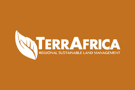 TerraAfrica project artwork