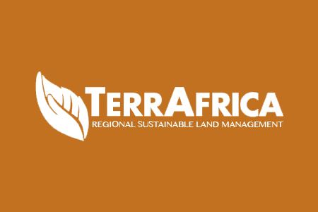 Cover Image for TerraAfrica